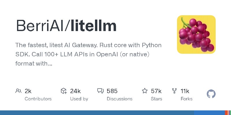 GitHub - BerriAI/litellm: The fastest, litest AI Gateway. Rust core with Python SDK. Call 100+ LLM APIs in OpenAI (or native) format…